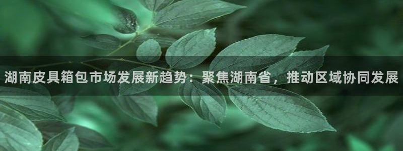 辉达娱乐加q75775稳定