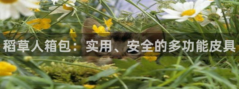 辉达娱乐属于什么档次