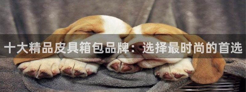 辉达娱乐