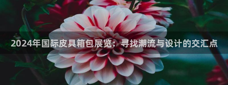 辉达娱乐衤39444