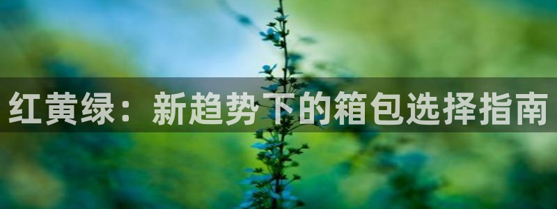 辉达娱乐正规吗