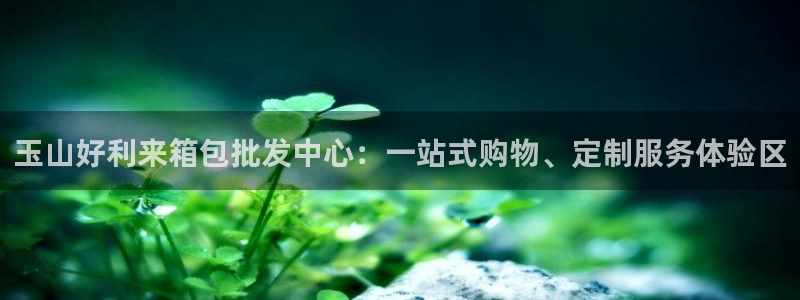 辉达怎么样