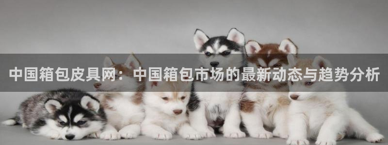 辉达娱乐最新消息新闻