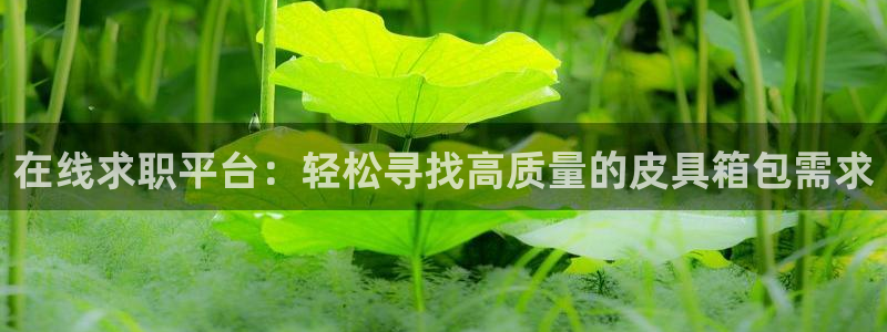 正规辉达娱乐官方网址