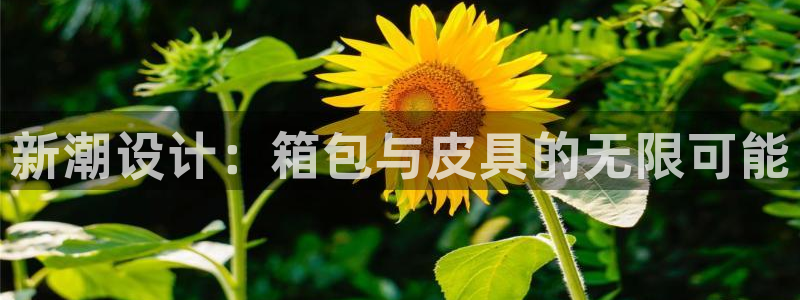辉达娱乐可靠
