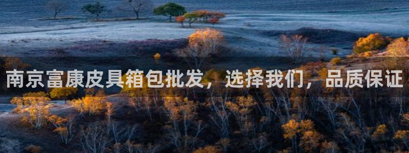 辉达娱乐最新消息新闻