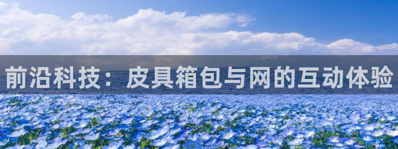 辉达娱乐珈75775