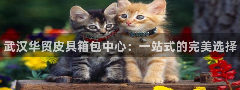辉达娱乐丨39444