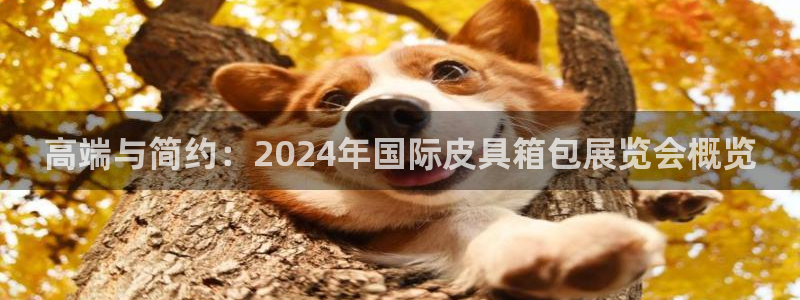 辉达娱乐加扣75775