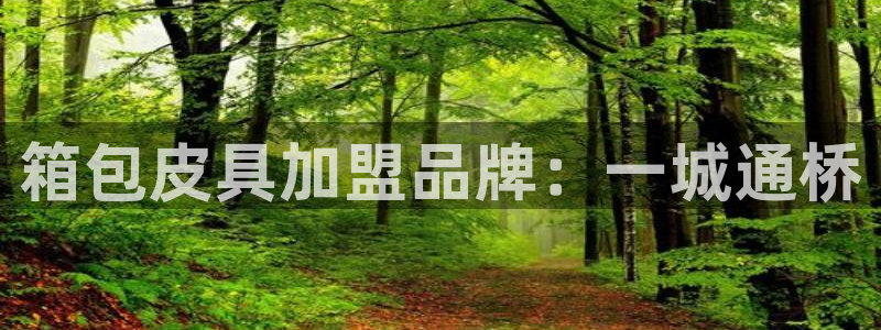 辉达娱乐多少年