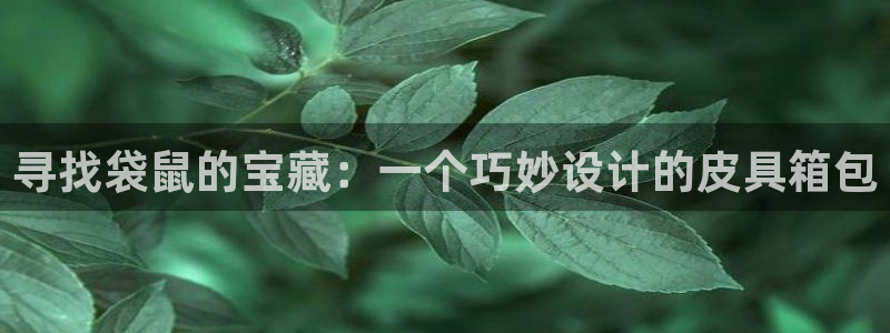 专业辉达娱乐在线游戏
