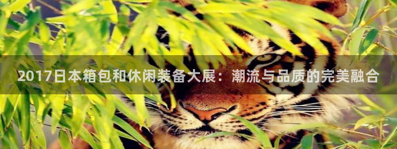 辉达娱乐最新版本更新内容