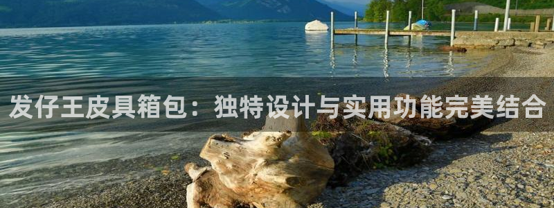代理辉达娱乐