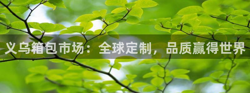 辉达娱乐检测