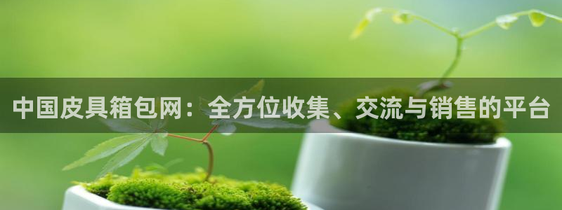 辉达娱乐招商
