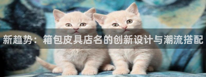 辉达娱乐福彩