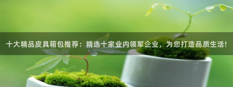 辉达娱乐分红