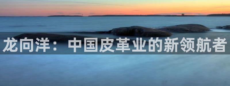 菲律宾辉达娱乐