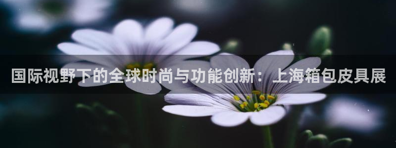 辉达娱乐加q75775