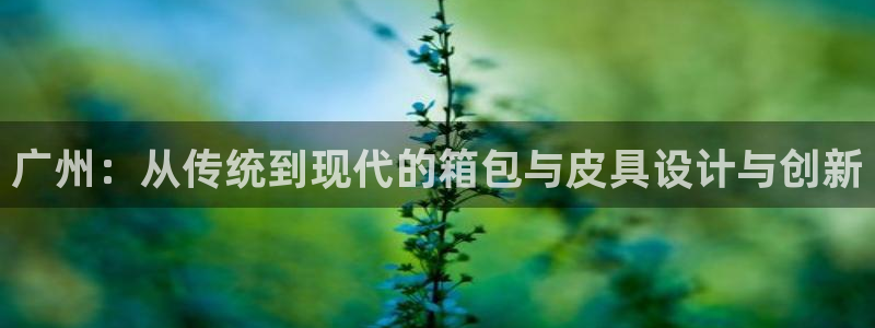 辉达娱乐福彩