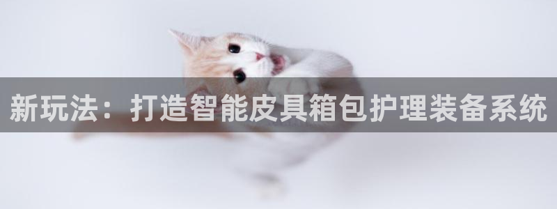 龙腾辉达电子娱乐
