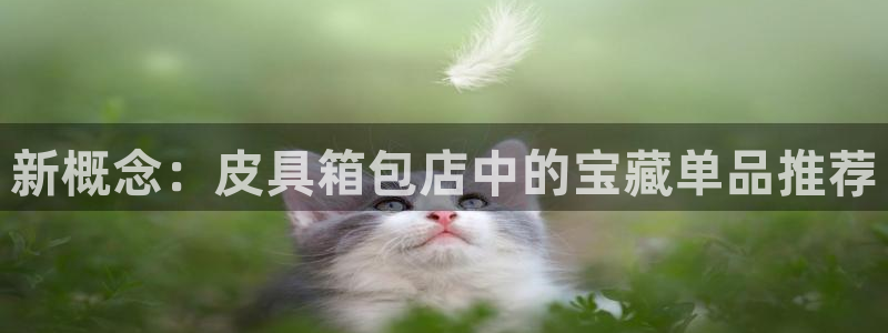 辉达娱乐待遇