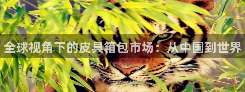 辉达娱乐加q75775
