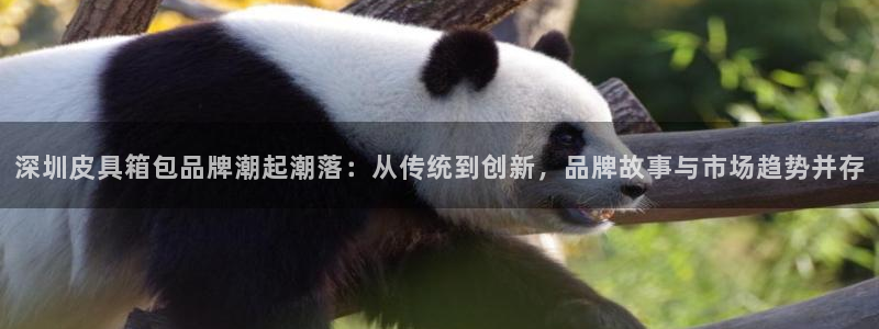 辉达娱乐衤39444