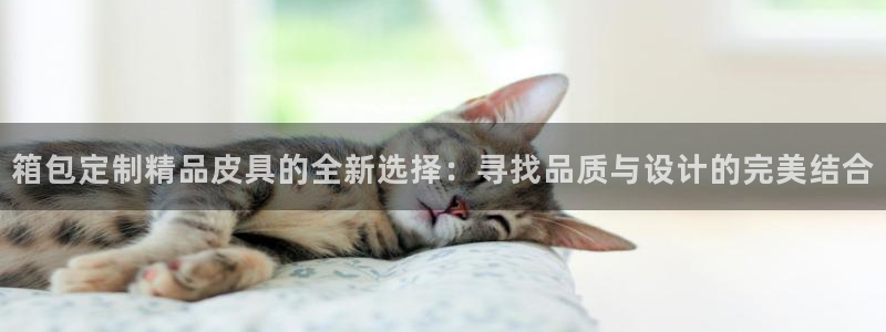 正规辉达娱乐在线游戏
