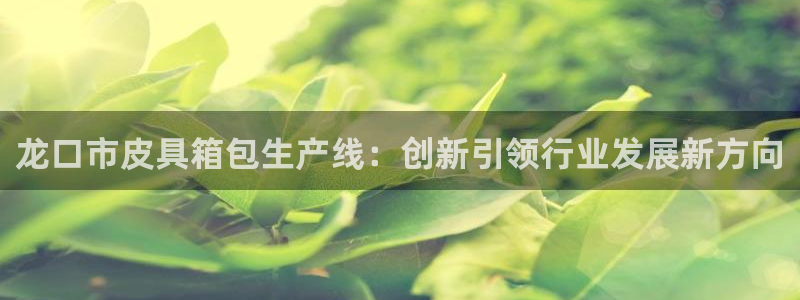 辉达怎么样