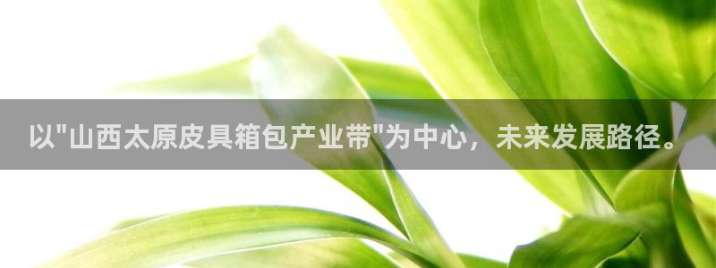 辉达娱乐重庆时时彩