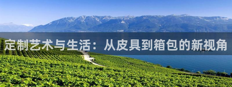 代理辉达娱乐平台