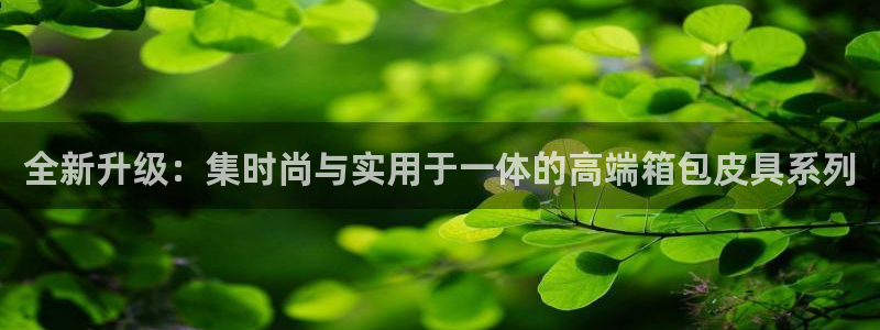 辉达娱乐计划软件