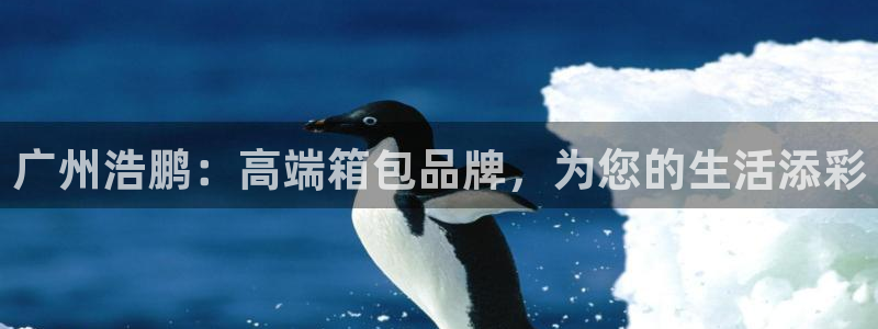 辉达娱乐珈75775