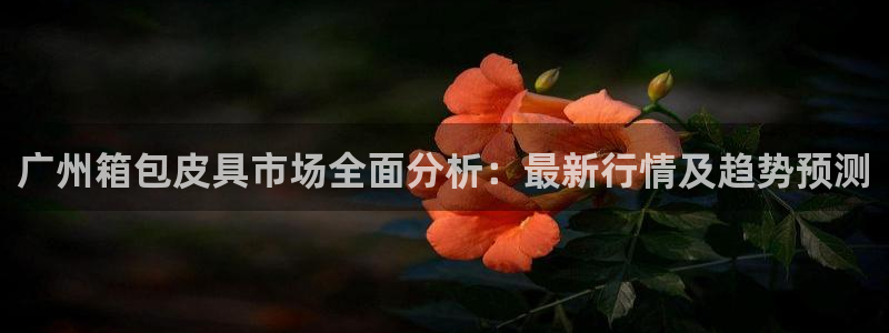 菲律宾辉达娱乐