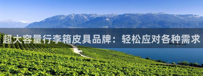 辉达娱乐最新消息新闻