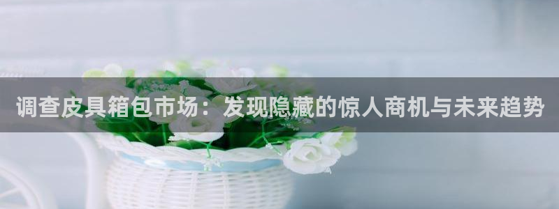 恒达娱乐辉70667
