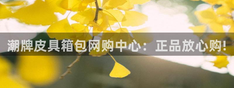 辉达娱乐官网
