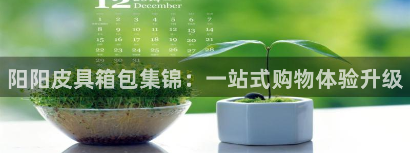 信誉辉达娱乐平台