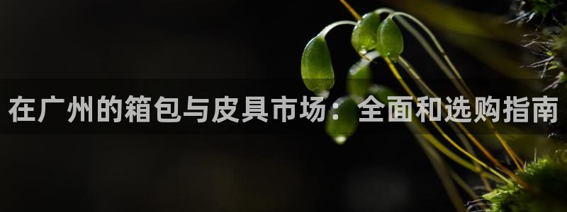 专业辉达娱乐官方网址