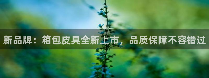 辉达怎么样