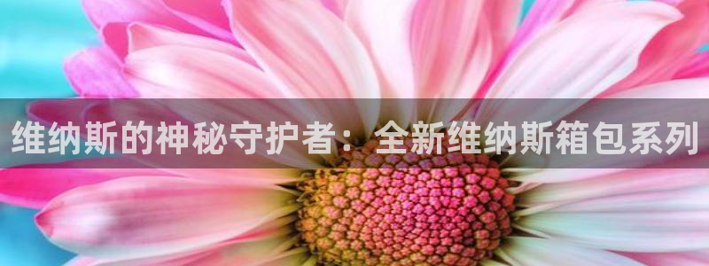 专业辉达娱乐平台