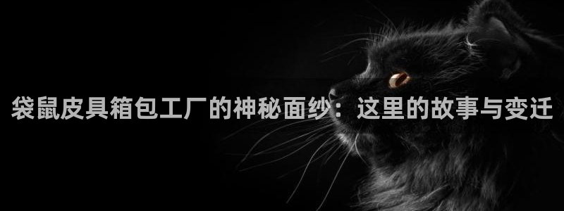 辉达娱乐属于什么档次