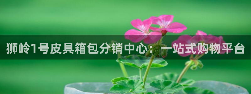 辉达娱乐加q75775