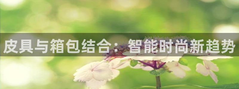 辉达娱乐体彩