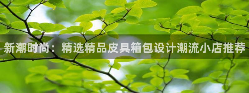 辉达娱乐总部
