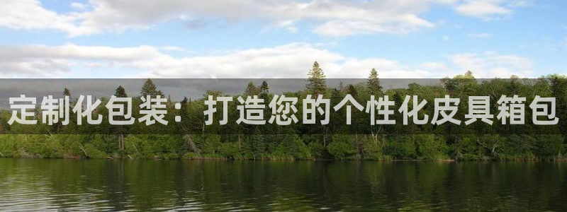 专业辉达娱乐平台