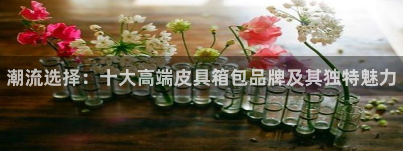 辉达娱乐体彩