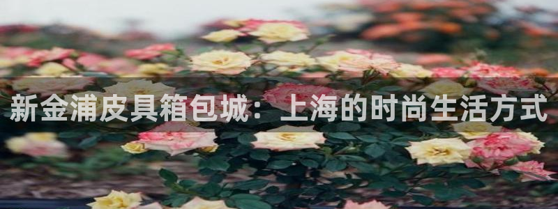 代理辉达娱乐