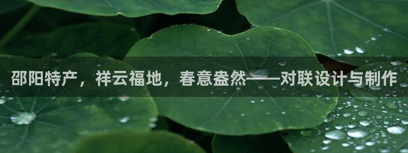 辉达平台官网电话